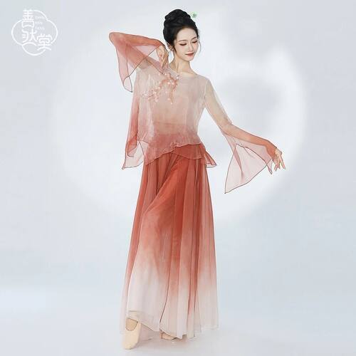 古典舞服装渐变纱衣中国汉服