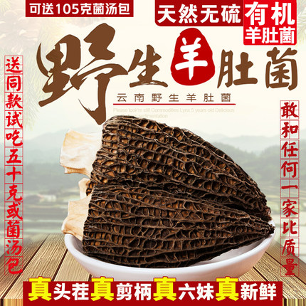 2026年干货羊肚菌 高原野生羊肚菇 特级野生羊肚菌干货500g包邮