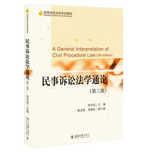 正版民事诉讼法学通论 第三版 洪冬英 北京大学出版社 民事诉讼法教材教科书 大学本科考研教材 根据民法典调整 法律法学教材教程