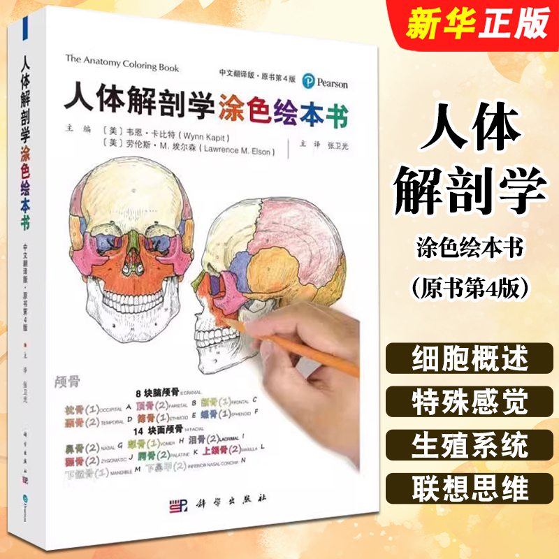 正版人体解剖学涂色绘本书 原书第4版 中文翻译版 韦恩 卡比特 科学出版社 解剖学的轴和面 体位和方位术语教材教程书