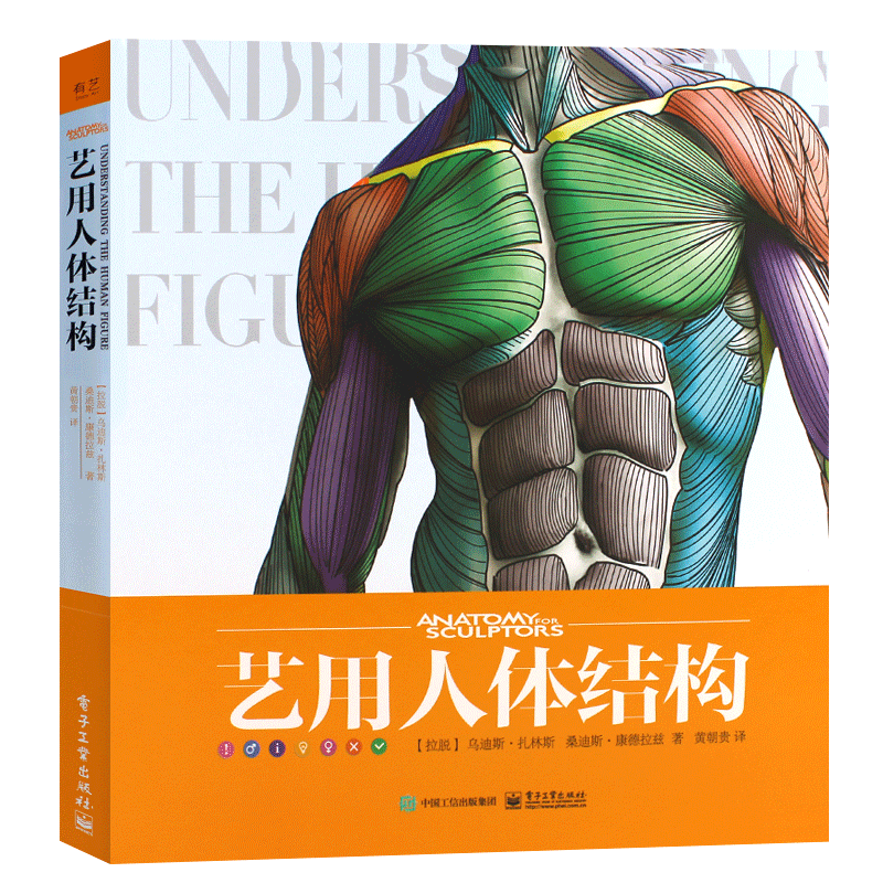 正版艺用人体结构全彩精装理解