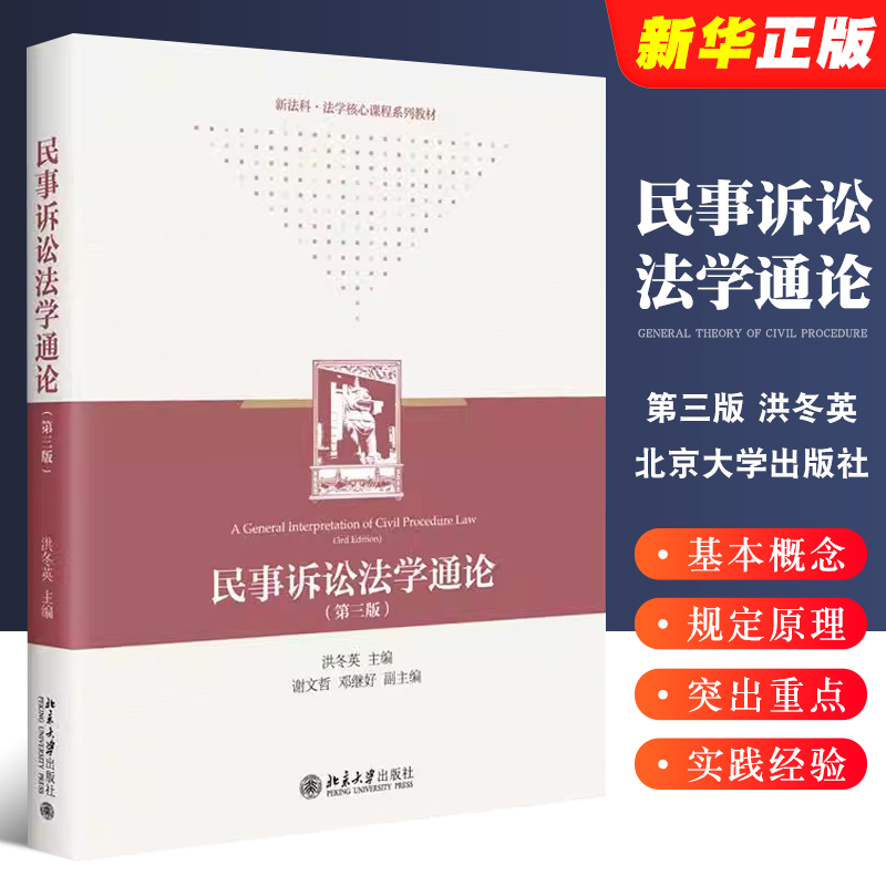 正版民事诉讼法学通论 第三版 洪冬英 北京大学出版社 民事诉讼法教材教科书 大学本科考研教材 根据民法典调整 法律法学教材教程