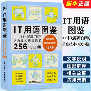 IT用语图鉴 机器学习深度学习256个常用IT术语插图人人都能看懂 AI时代需要了解 水利水电 常用IT词汇教程 信息技术相关词汇 正版