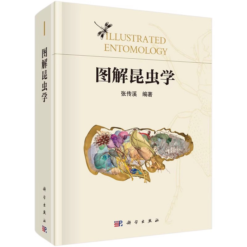正版图解昆虫学 张传溪 科学出版社 科普类读物昆虫学入门教材昆虫生物学 昆虫分类学 兜锹花臂常见昆虫野外识别手册教材教程书