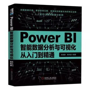 正版Power BI智能数据分析与可视化从入门到精通 机械工业 Excel办公自动化VBA软件数据挖掘计算机数据库分析师微软powerbi教程