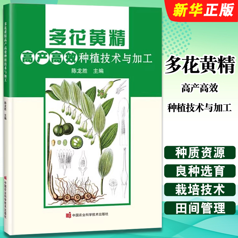 正版多花黄精高产高效种植技术与加工 中国农业科学技术 多花黄精种质资源及良种选育 多花黄精的规范化栽培技术田间管理教材教程