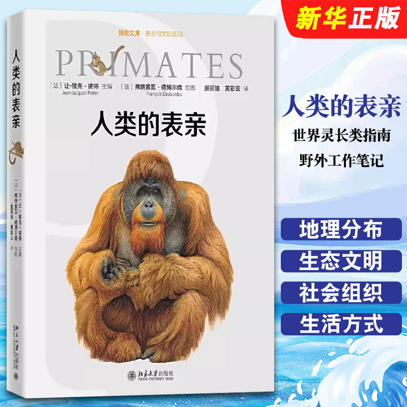 人类的表亲世界灵长类指南