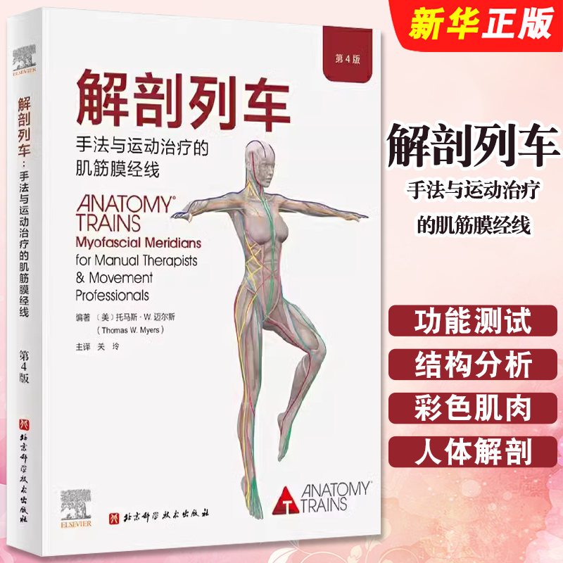 正版解剖列车 手法与运动治疗的肌筋膜经线 医学基础教材 北京科学技术 关玲人体解剖彩色肌肉功能测试奈特身体解读结构分析教程书