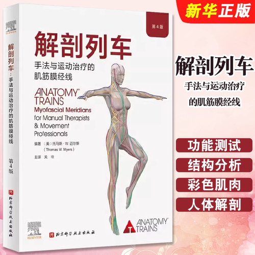 正版解剖列车 手法与运动治疗的肌筋膜经线 医学基础教材 北京科学技术 关玲人体解剖彩色肌肉功能测试奈特身体解读结构分析教程书