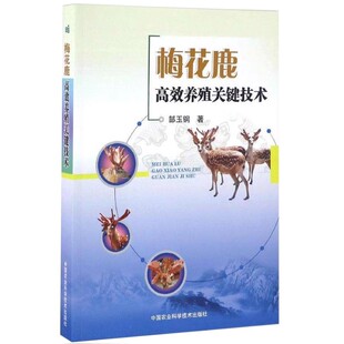 正版梅花鹿高效养殖关键技术 中国农业科学技术 郜玉钢 畜牧养殖书籍梅花鹿养殖技术 梅花鹿养殖简单学梅花鹿的饲养管理教材教程书