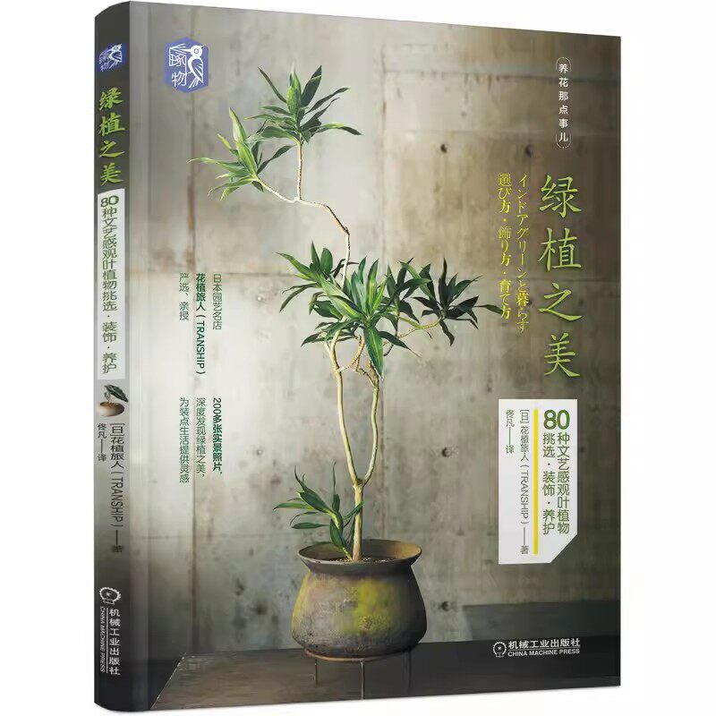 正版绿植之美 80种文艺感观叶植物挑选装饰养护 机械工业 养花书籍 花卉养殖园艺书家庭种花养护大全新手种植专用盆景制作教材教程