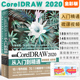 正版中文版CorelDRAW 2020从入门到精通 微课视频全彩版 唯美coreldraw x10软件教程cdr书籍 全自学图形图像平面设计教程cdr教程书