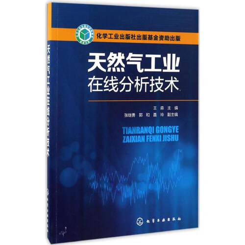 天然气工业在线分析技术 王森 主编