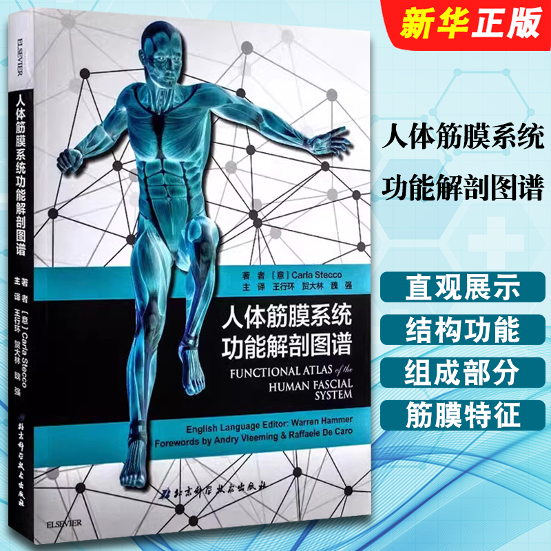 正版人体筋膜系统功能解剖图谱 王行环 北京科学技术出版社 意大利引进中文简体版 筋膜健身教材教程书