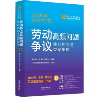 正版劳动争议高频问题裁判规则与类案集成 中国法制出版社 人事关系HR司法实务劳动合同 企业人力资源管理与法律顾问实务指引丛书