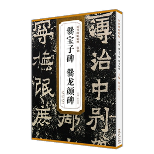 正版南朝爨宝子碑爨龙颜碑 历代碑帖精粹 附简体旁注 技法解析 隶书毛笔书法临摹练字帖教材 安徽美术 学生成人古帖隶书字帖教程书
