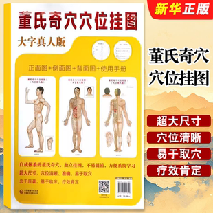 易于取穴 穴位挂图 大字真人版 杨朝义 社 中国医药科技出版 准确 穴位清晰 超大尺寸 董氏奇穴穴位挂图 正版