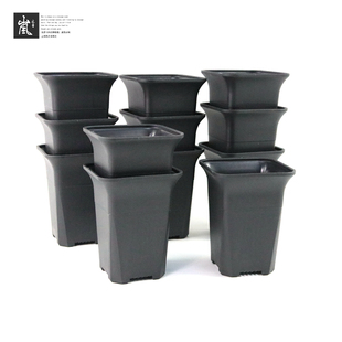 高腰多肉景天球种植盆 12个装 套餐 GD6002方形广口万象