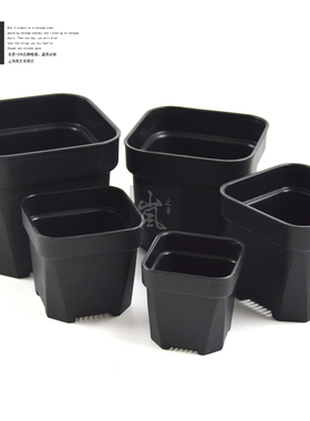 升级版厚黑方盆丨特厚浅方盆 景天 仙人球 多肉植物花盆 五个尺寸