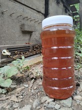 蜂蜜纯正天然养蜂场农家自产自销自然枣花蜂蜜野生1000g/2斤包邮