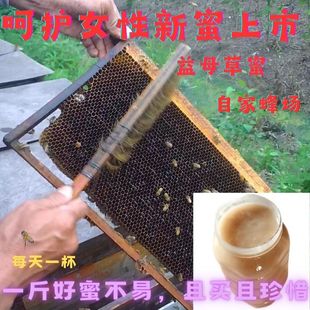 二斤益母草蜂蜜纯正天然自然成熟蜜好蜜蜂场直销新鲜蜜生理期暖胃