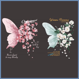 潮牌时尚卡通蝴蝶图案热转印A级过粉耐水洗胶印白墨烫画diy可定制