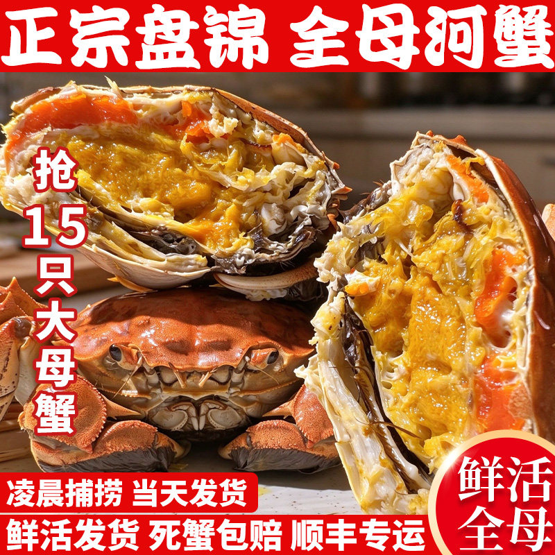 盘锦河蟹鲜活母蟹特大河蟹15只1.5-1.8两全母活蟹螃蟹大闸蟹礼盒
