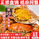 盘锦河蟹鲜活稻田蟹20只1 2.2两全母螃蟹大闸蟹礼盒辽宁稻田河蟹