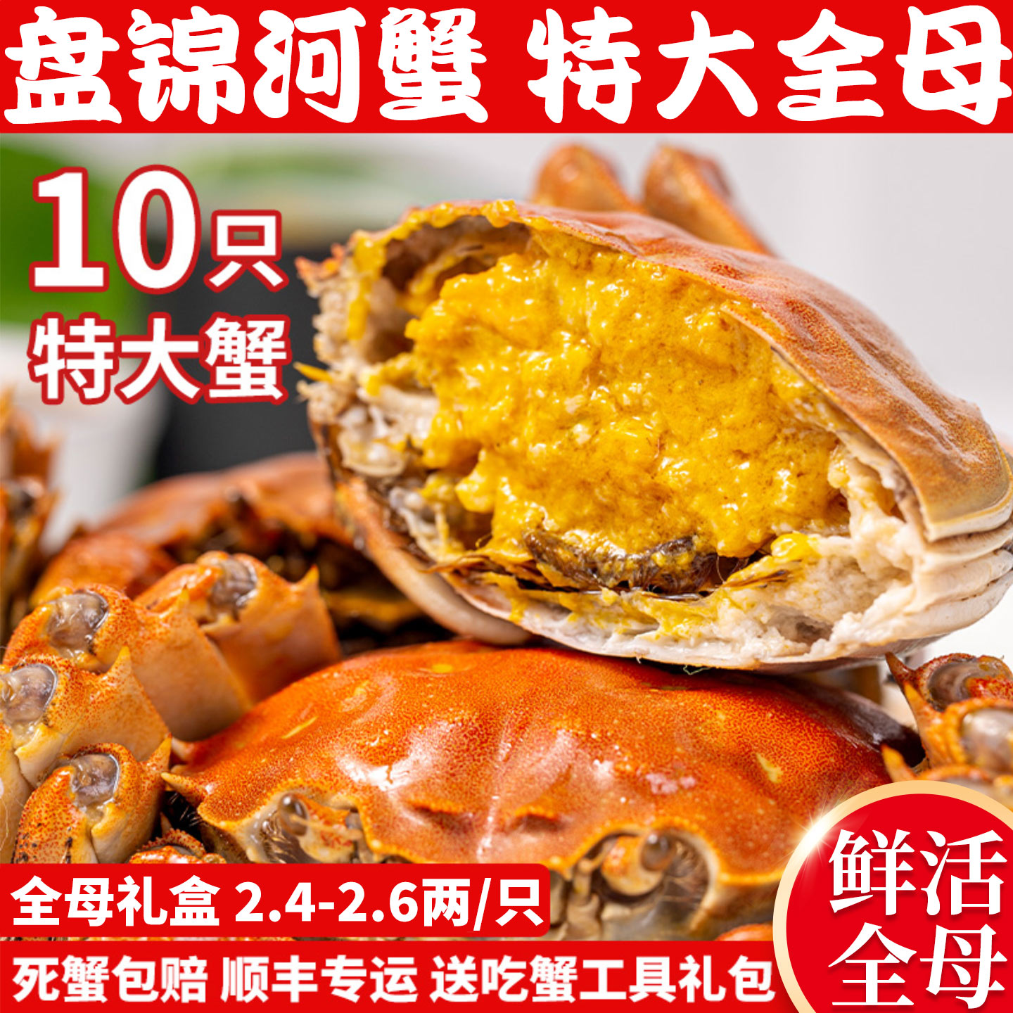 盘锦河蟹特大10只全母河蟹礼盒