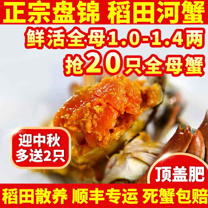 盘锦河蟹全母稻田蟹鲜活大闸蟹