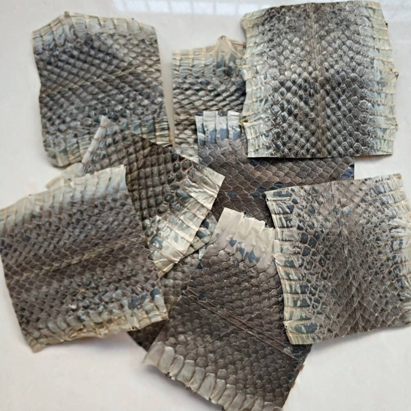 Zhijin Wushao ヘビ革中央部単一のヘビ革 Jinghu Sihu 皮素材 Jinghu Sihu Huqin アクセサリー 34