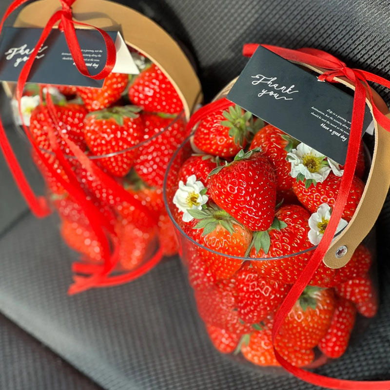 2025网红冬季新年送女友奶油草莓水果手提桶容器ept透明抱抱桶,节庆用品/礼品,蛋糕/烘焙装饰用品,淘宝优惠券,粉丝福利购,淘宝优惠卷