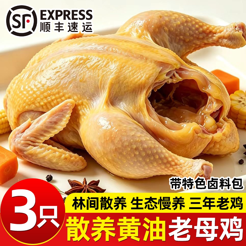 朐小鲜散养农家现杀黄油老母鸡