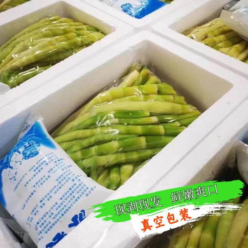 2025新鲜小竹笋春笋真空包装500g/袋高山绿笋现剥湖北脆嫩清水笋