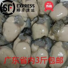 生蚝肉鲜活现剥牡蛎肉1斤装海鲜水产即食烧烤特大海蛎子10斤包邮