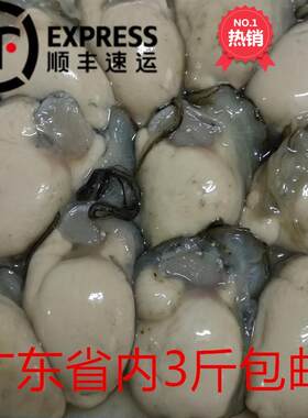 生蚝肉辰龙精品海鲜营养鲜活现剥