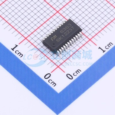 FM6363 FM(富满) SSOP-24-150mil 现货