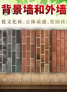 300x600文化石别墅室外仿古砖