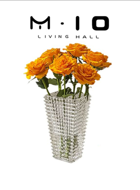 MIO LIVING·Bright | 花瓶摆件客厅插花高级感水养透明玫瑰花
