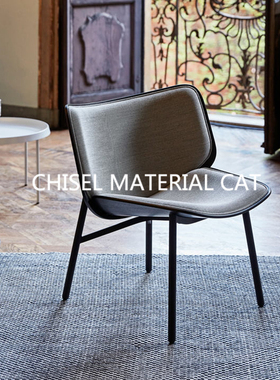 凿材猫 Dapper北欧简约创意现代休闲椅 玻璃钢异形网红轻奢餐椅