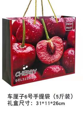 智利车厘子空手提包装袋5/10斤