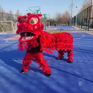 舞龙舞狮道具整套舞狮子佛山舞狮醒狮用品南狮醒狮头成人全套双人