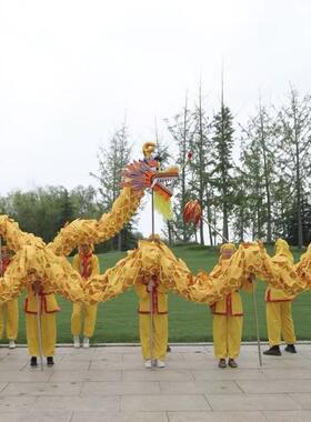 舞龙道具牛津烫金国标龙舞龙灯竞技舞龙服装专业舞龙舞狮龙头演出