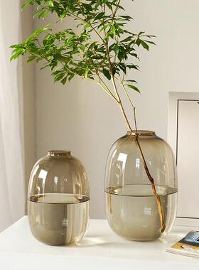 网红款大肚玻璃花瓶高通透水培鲜切绿植龟背竹春羽南天竹简单轻奢