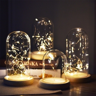 火树银花玻璃罩台灯小夜灯LED灯铜线灯串房间布置情人节礼物礼品