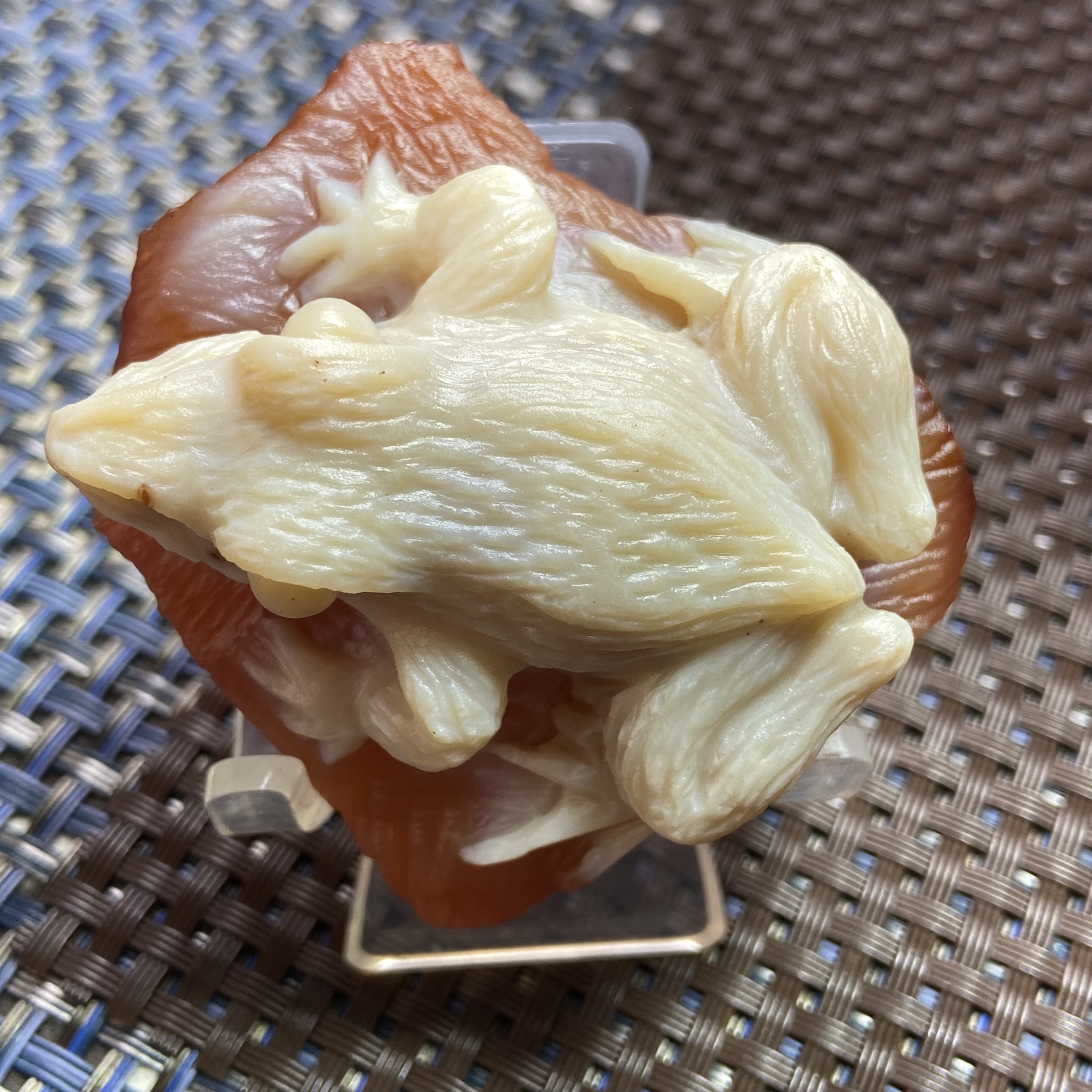 红玛瑙貔貅呱呱来财青蛙瓷白摆件茶宠河北宣化收藏精品一物一图