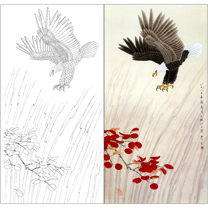 tp391工笔画鹰临摹画稿白描底稿国画花鸟画四尺六尺线描打印稿
