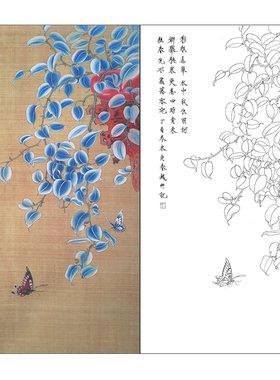 TP353高清工笔画临摹画稿白描国画花鸟装饰画素材临摹线描打印稿
