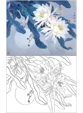 昙花练习线描实物打印稿工笔画