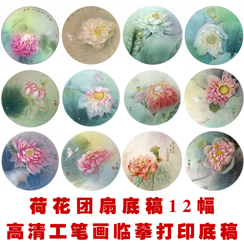 工笔画荷花团扇白描底稿国画花鸟宫扇临摹线稿图样实物打印底稿